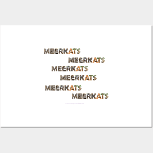 Meerkats Meerkats Meerkats Meerkats - wildlife oil painting word art Posters and Art